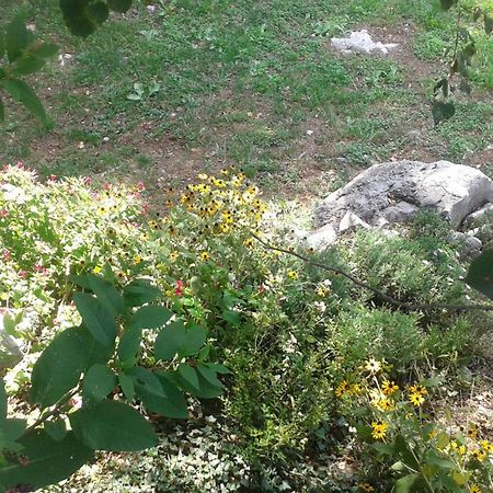 Guest House Rabenseifner - Opatija Jurdani Εξωτερικό φωτογραφία