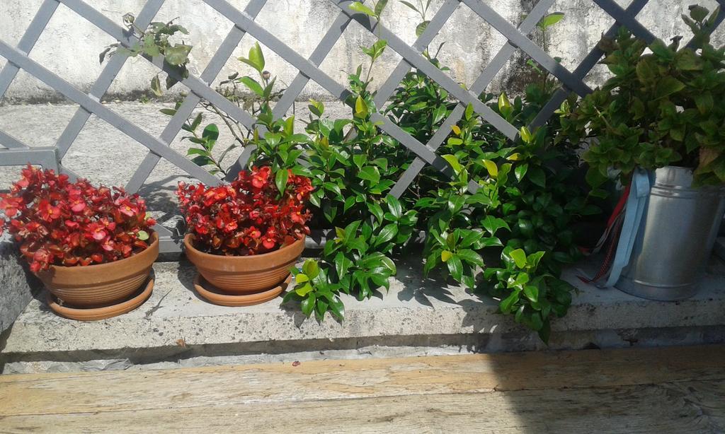 Guest House Rabenseifner - Opatija Jurdani Εξωτερικό φωτογραφία